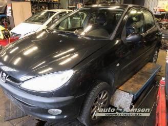 Peugeot 206 206 (2A/C/H/J/S), Hatchback, 1998 / 2012 1.4 XR,XS,XT,Gentry picture 3