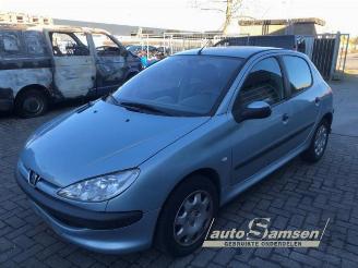 Auto da rottamare Peugeot 206 206 (2A/C/H/J/S), Hatchback, 1998 / 2012 1.4 XR,XS,XT,Gentry 2004/5