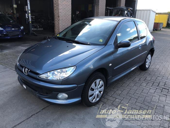 Peugeot 206 206 (2A/C/H/J/S), Hatchback, 1998 / 2012 1.4 XR,XS,XT,Gentry