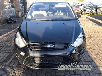 Ford S-Max S-Max (GBW), MPV, 2006 / 2014 2.0 Ecoboost 16V picture 3