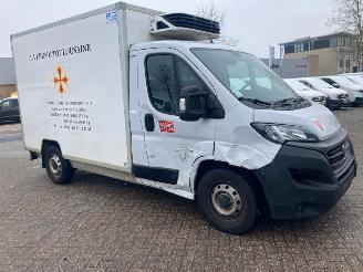 krockskadad bil bedrijf Fiat Ducato 2.3 MJ 103KW AUTOM.  KOELING  TIEFKUHLUNG KLIMA EURO6 2021/1