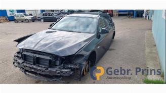 BMW 5-serie 5 serie Touring (F11), Combi, 2009 / 2017 535d xDrive 24V picture 2