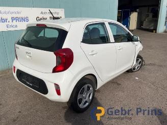 Sloopauto Kia Picanto Picanto (JA), Hatchback, 2017 1.0 DPi 12V 2022/10