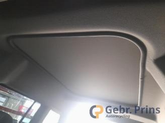 Ford Tourneo Connect Tourneo Connect/Grand Tourneo Connect, MPV, 2013 / 2022 1.0 EcoBoost 12V picture 13