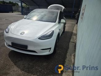 Tesla Model Y Model Y (5YJY), SUV, 2019 RWD picture 2