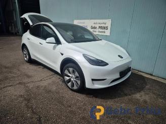 Salvage car Tesla Model Y Model Y (5YJY), SUV, 2019 RWD 2023/2