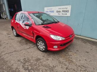 rozbiórka samochody osobowe Peugeot 206 206 (2A/C/H/J/S), Hatchback, 1998 / 2012 1.4 XR,XS,XT,Gentry 2007/7