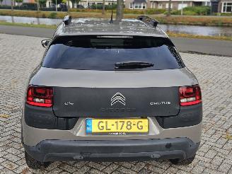 Citroën C4 cactus 1.6 Blue Hdi 100 Hatchback 4Dr Diesel 1.560cc 73kW (99pk) FWD picture 5