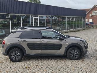 Citroën C4 cactus 1.6 Blue Hdi 100 Hatchback 4Dr Diesel 1.560cc 73kW (99pk) FWD picture 2