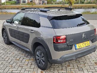 Citroën C4 cactus 1.6 Blue Hdi 100 Hatchback 4Dr Diesel 1.560cc 73kW (99pk) FWD picture 6