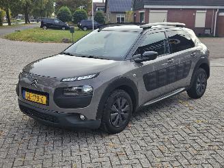 Citroën C4 cactus 1.6 Blue Hdi 100 Hatchback 4Dr Diesel 1.560cc 73kW (99pk) FWD picture 8