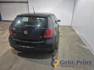 Volkswagen Polo Polo V (6R), Hatchback, 2009 / 2017 1.4 16V picture 8