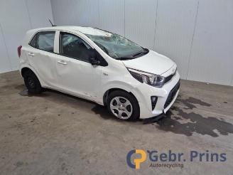 Sloopauto Kia Picanto Picanto (JA), Hatchback, 2017 1.0 DPi 12V 2024/9