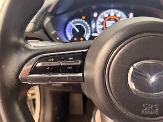 Mazda MX-30 e-SkyActiv 145 picture 19