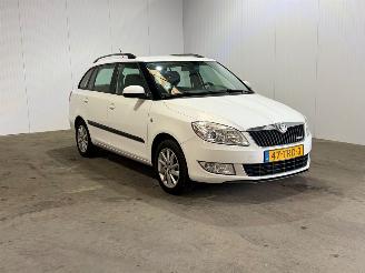 Schadeauto Skoda Fabia 1.2 TDI Greenline 2012/3