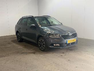 Schadeauto Skoda Fabia 1.0 TSI Business Edition 2020/9