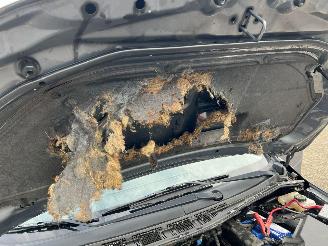 Mazda 5 1.8 S 7p brandschade motor picture 22