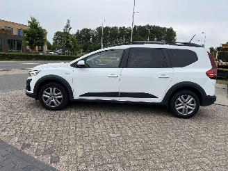 Dacia Jogger 1.0 TCe 100 ECO-G Expression 7p. | eerste eigenaar!! picture 9