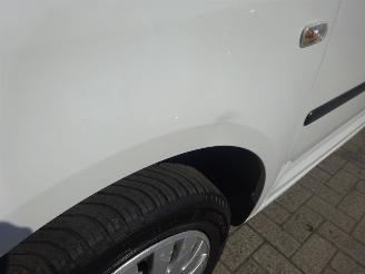 Volkswagen Caddy maxi 1.6 TDI Maxi Ecoprofi 75kw, Airco, Cruise, Navi, Trekhaak picture 19