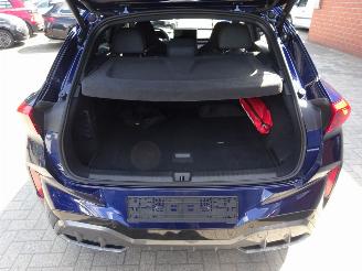 Cupra Terramar 1.5 E-Hybrid 150kw Performance picture 23