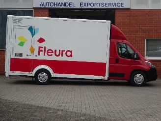 Fiat Ducato 2.3 Multijet 150pk, AL-KO Bloemenwagen met verwarming picture 6
