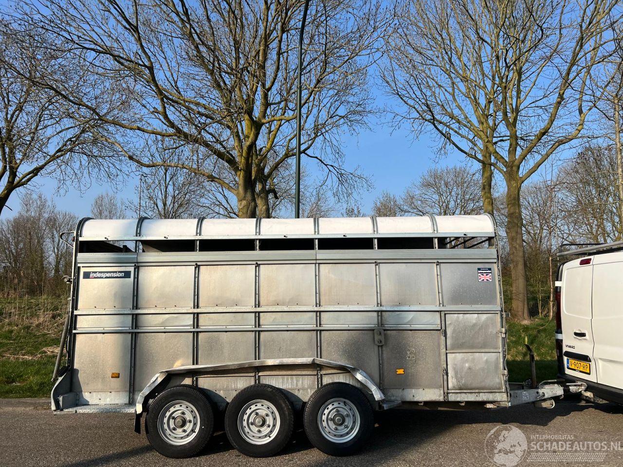 -  INDESPENSION LV35146T 3ASSER VEEWAGEN