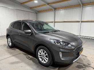 Ford Kuga 2.0D 110kW Hybrid  ST-Line X picture 2