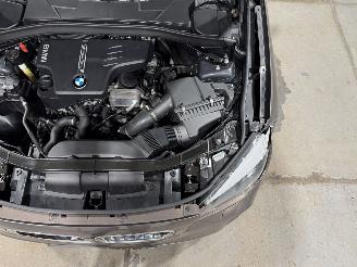 BMW X1 sDrive20i 135kW Automaat Pano Business picture 40