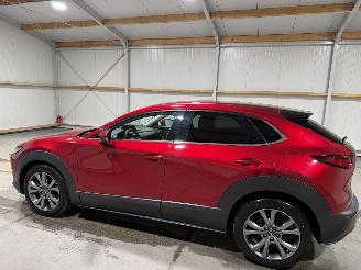 Mazda CX-30 2.0 E-SkyActiv-X 132kW M Hybrid Luxury picture 11