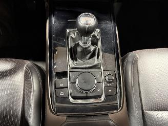 Mazda CX-30 2.0 E-SkyActiv-X 132kW M Hybrid Luxury picture 21