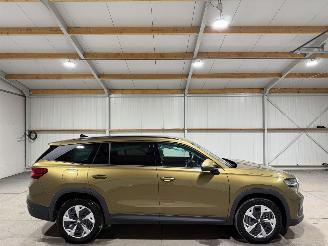 Avarii autoturisme Skoda Kodiaq 1.5TSI PHEV 110kW Business Edition 2025/4