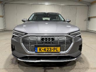Audi E-tron 50 71kWh 230kW Quattro Luchtvering S Edition Pano picture 23