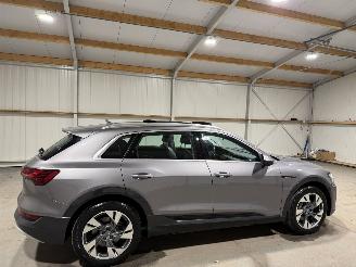 Audi E-tron 50 71kWh 230kW Quattro Luchtvering S Edition Pano picture 5
