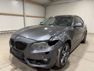 BMW 2-serie 220D Coupe 135kW Automaat Clima picture 17
