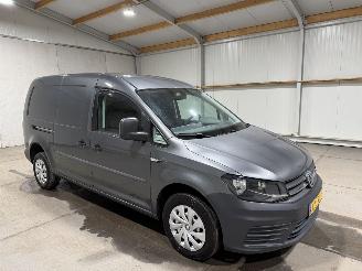 Volkswagen Caddy maxi 1.6TDI 75kW L2H1 Trendline picture 2