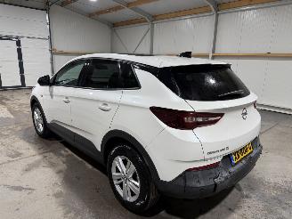 Opel Grandland X 1.2Turbo 96kW Online Edition picture 12