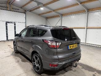 Ford Kuga 1.5EcoBoost 110kW ST Line picture 12