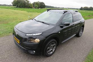 Citroën C4 cactus 1.2 Pure Tech Shine 11-2015  166.000km Nap Camera Airco picture 17