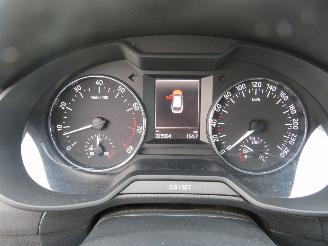 Skoda Octavia 1.2 TSi Greentech Active Edition  Camera Navigatie Clima Stoelverwarming picture 10