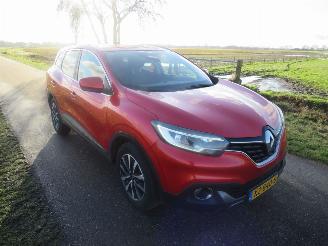 Renault Kadjar 1.2 TCe Intens 131pk 6 bak 2017 Camera Navigatie Clima 2017 leer picture 11