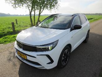 Vaurioauto  passenger cars Opel Grandland 1.2  Turbo Automaat  131pk 40.000km 2024 Euro 6 MPV Camera Navigatie Clima 2024/3