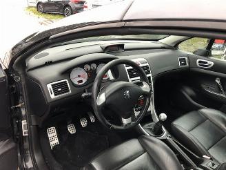 Peugeot 307 cc picture 11