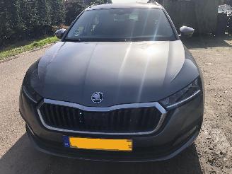 Coche accidentado Skoda Octavia Octavia Combi 1.0 TSI Business Edition 2023/7