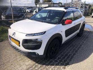 Citroën C4 cactus C4 Cactus 1.2 PureTech Shine picture 2