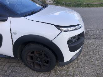 Citroën C4 cactus C4 Cactus 1.2 PureTech Shine picture 4