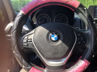 BMW 1-serie 116 EDE BUSINISS picture 11