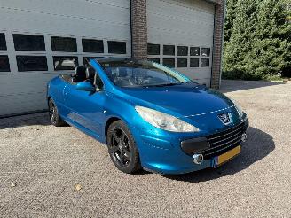 škoda osobní automobily Peugeot 307 CC 2.0 Clima Leder 2006/5