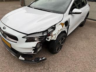 Kia Xceed 1.6 GDI PHEV Automaat Cruise Navi 45232 Km ! picture 20