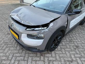 Citroën C4 cactus 1.2 e-VTi Business Automaat Navi Clima Cruise NAP ! picture 16