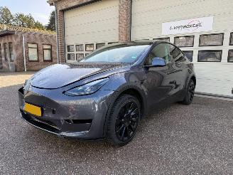 Damaged car Tesla Model Y RWD 58 kWh Pano Leder 68725 Km NAP ! 2023/11